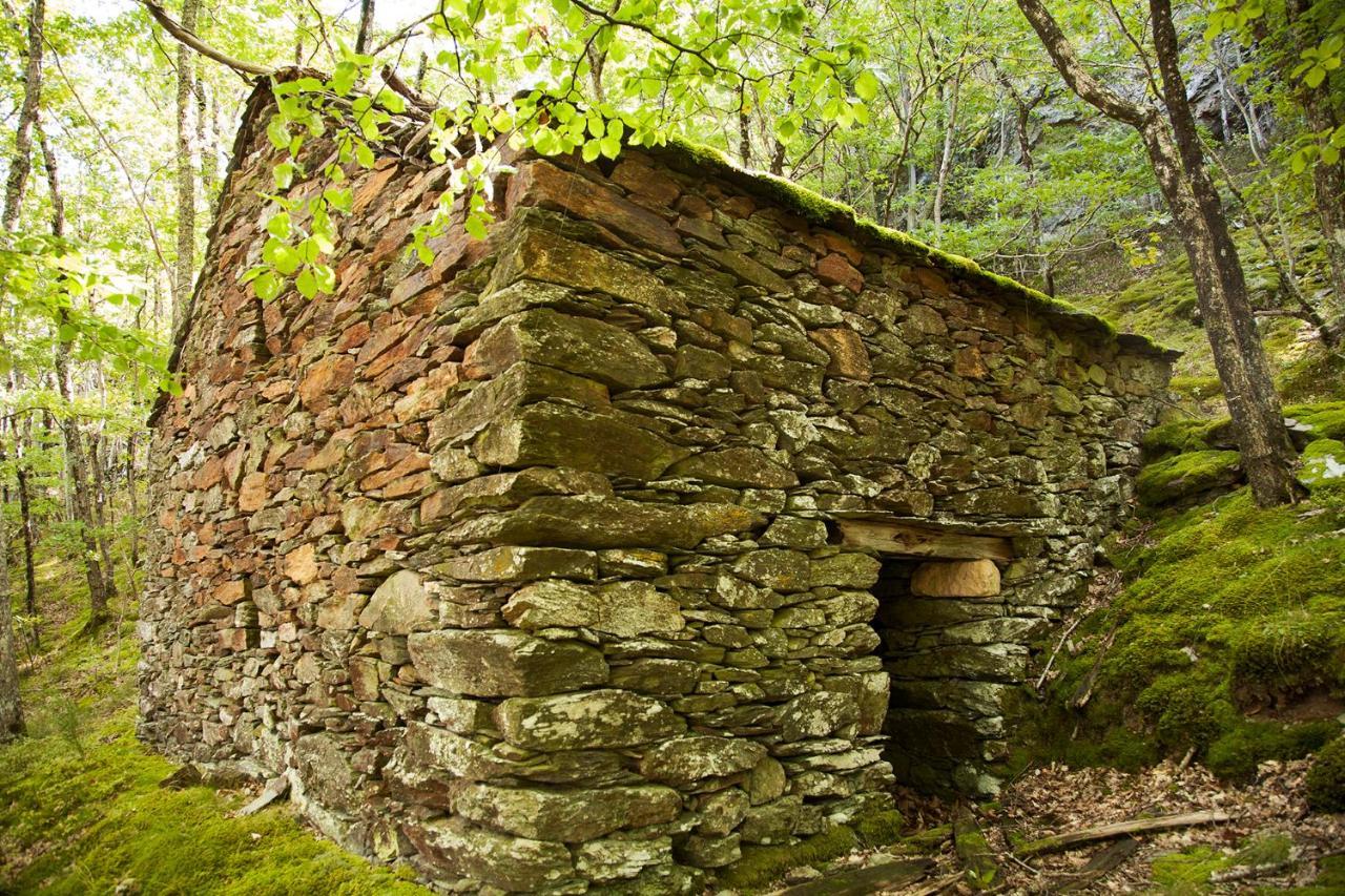 La Ferme Des Cevennes Florac Exterior foto
